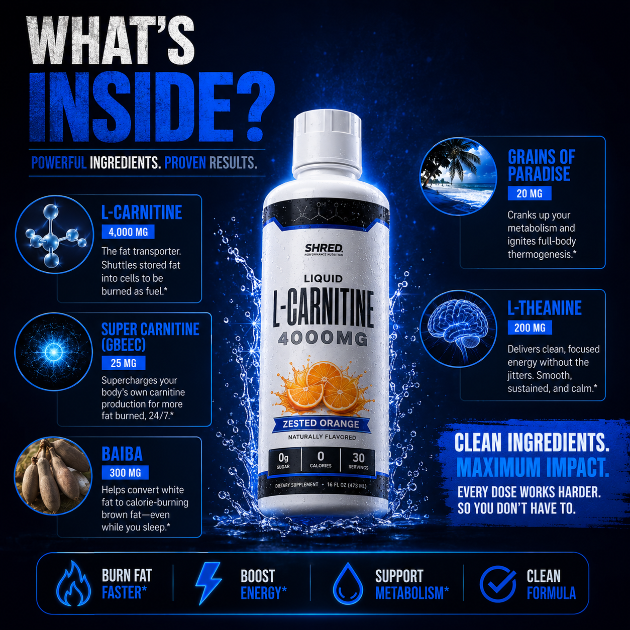 Liquid L-Carnitine 4000MG