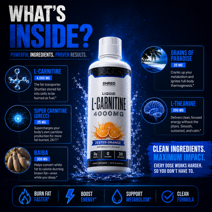 Liquid L-Carnitine 4000MG